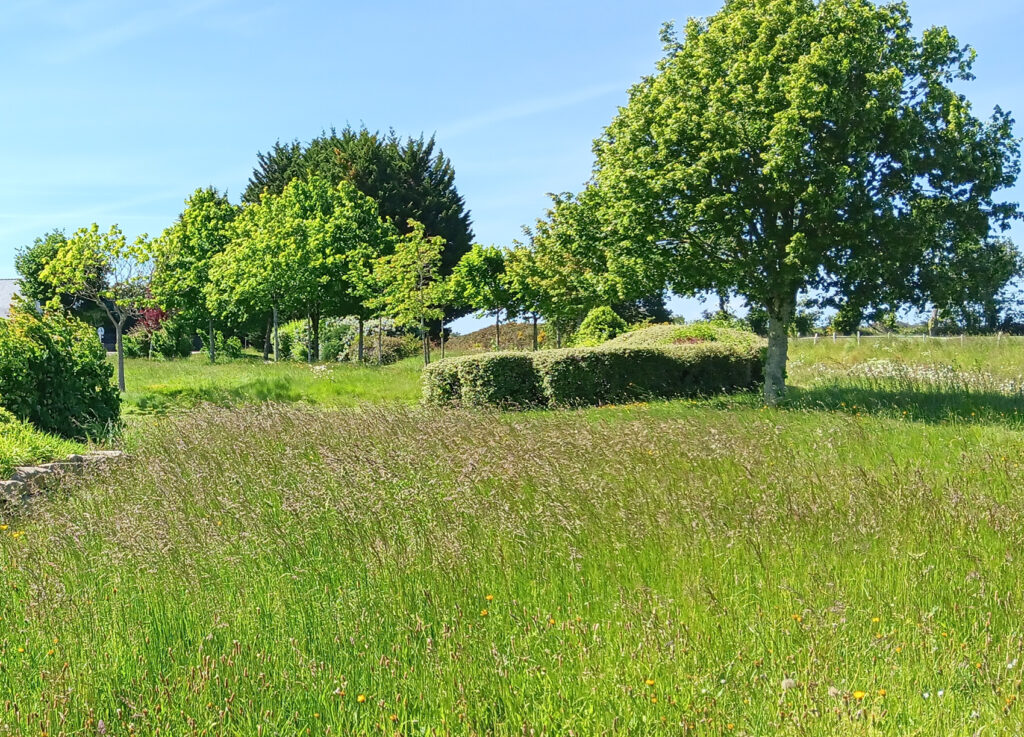 Gestion différenciée des espaces verts